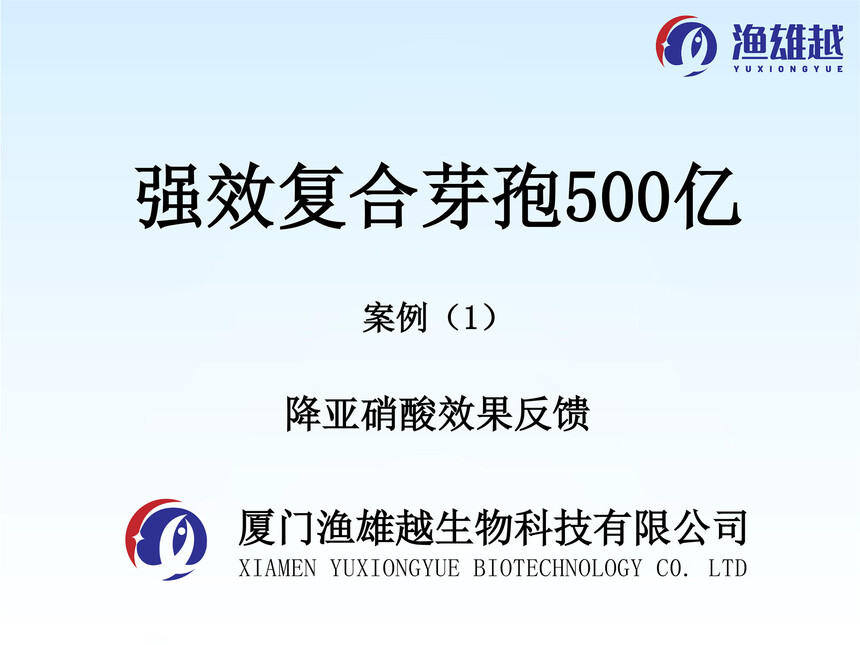 ��Ч�ͺ�ѿ��500�|-�����}Ч��20230823pptx-1 ����.jpg