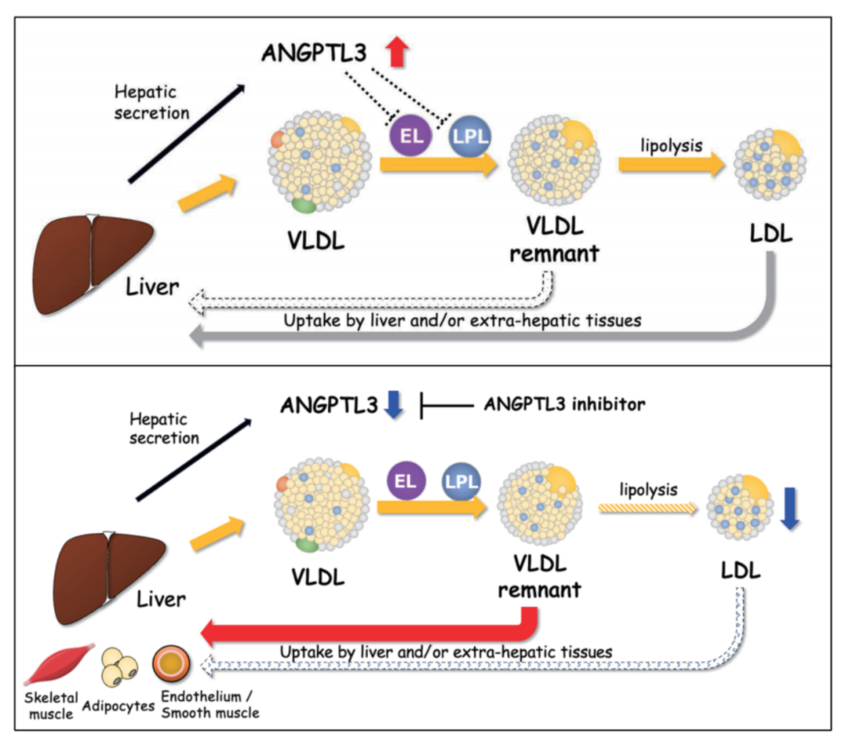 1756695909200941.png 901-2.png