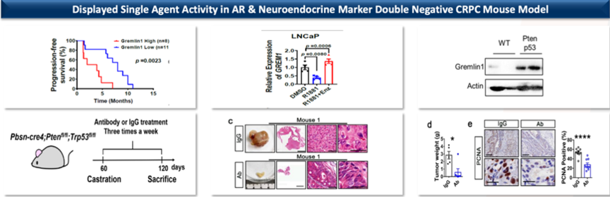 1761617285575679.png 1028-5.png