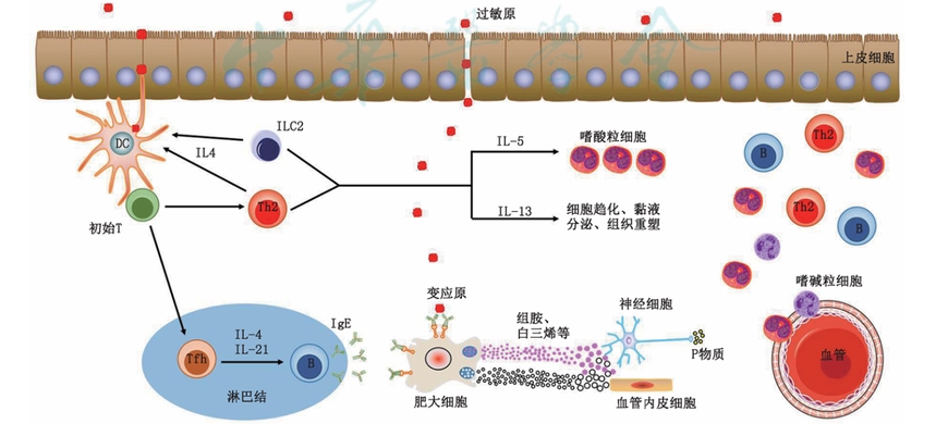 1761702276289336.png 1029-1.png