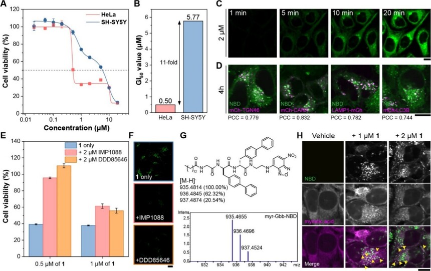 1762483792705236.jpg 1107-2.jpg