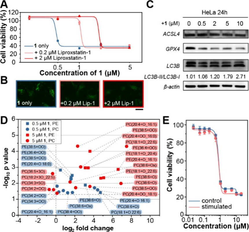 1762483814432935.jpg 1107-3.jpg