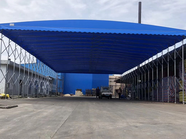 ԲΪʲôҶѡƶ