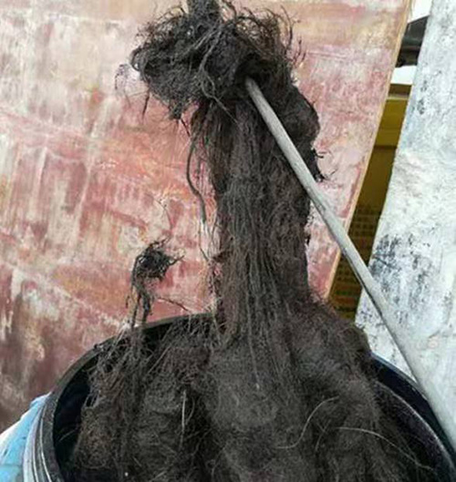 1686795305236121.jpg 微信圖片_202302092213236.jpg