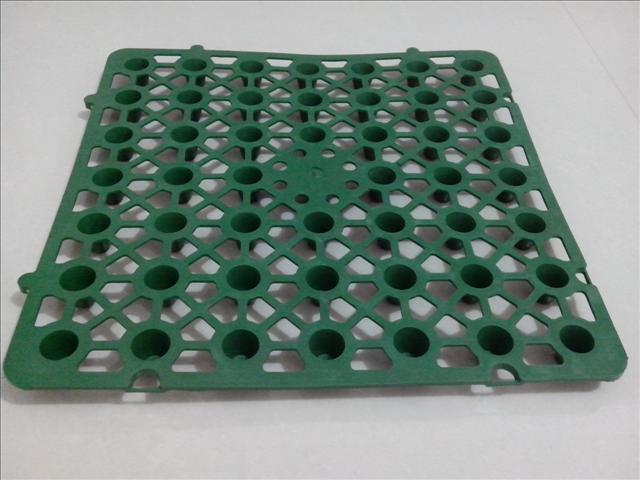 3702715.jpg