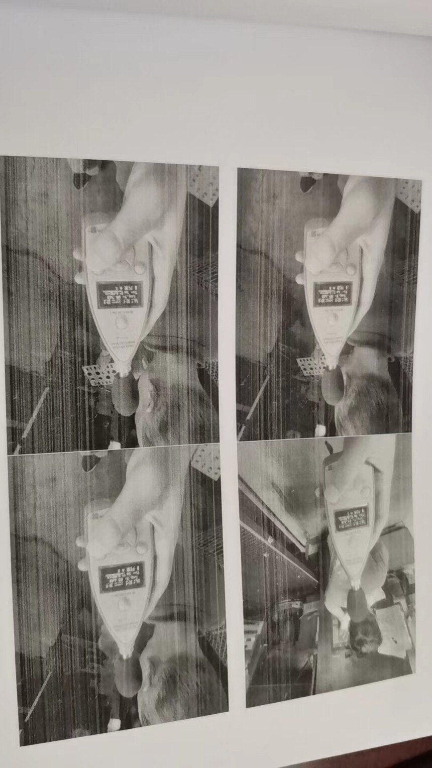 ΢��ͼƬ_20231113154719.jpg