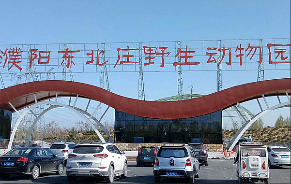 (yng)≦ϴ