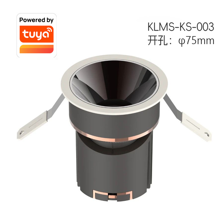 KLMS-KS-003Ϳѻ.jpg