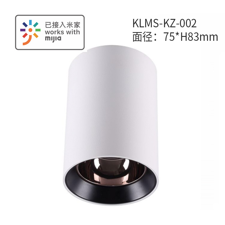 KLMS-KZ-002׼.jpg