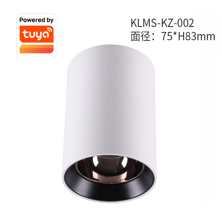 KLMS-KZ-002Ϳѻ.jpg