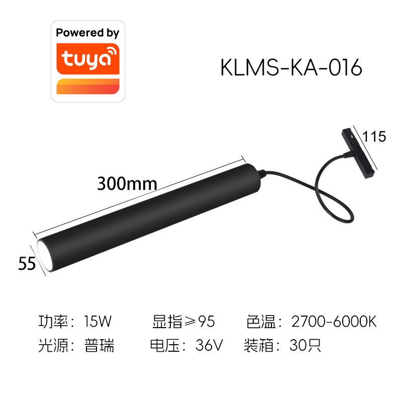 KLMS-KA-016Ϳѻ.jpg