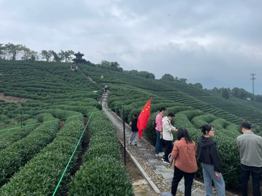 1731391983283597.png 1731391983283597.png