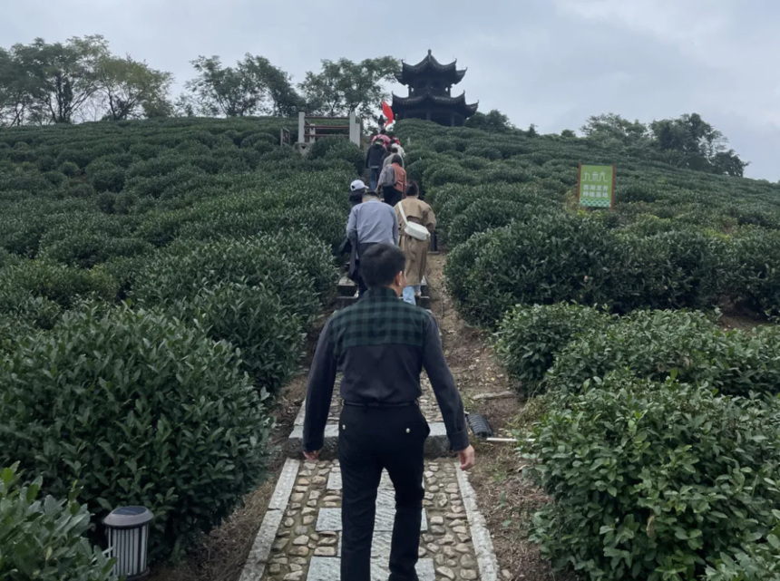 1731392015699092.png 1731392015699092.png