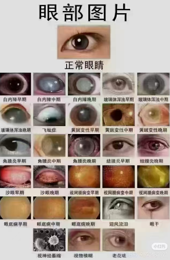 1757303144285897.png 1757303144285897.png