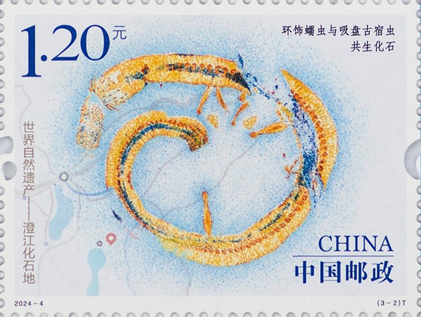 1712457500321693.jpg