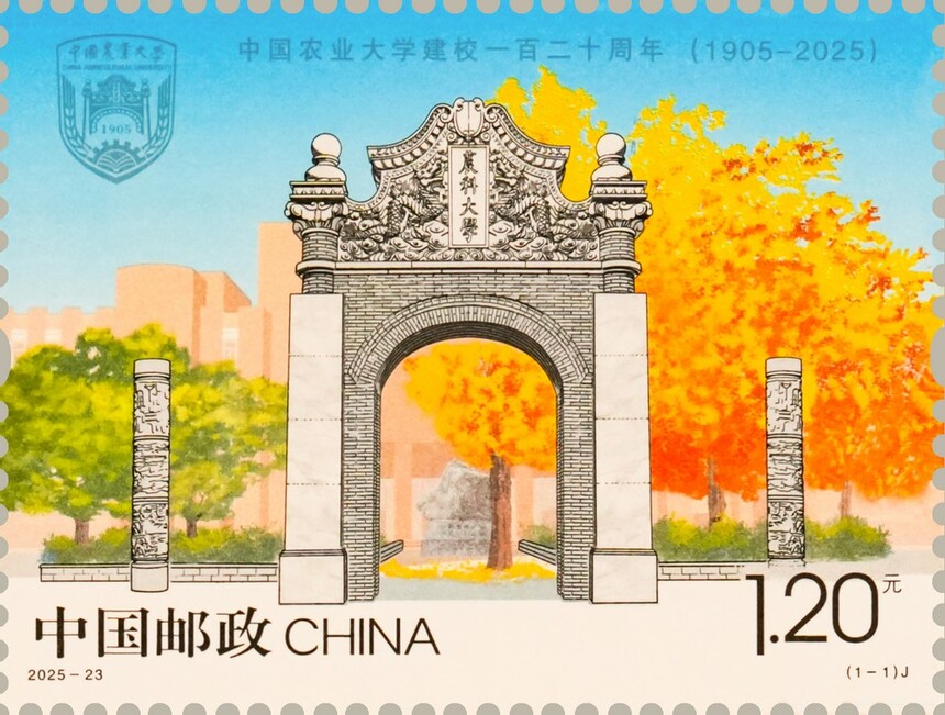 1761788758619686.jpg 25102987.jpg