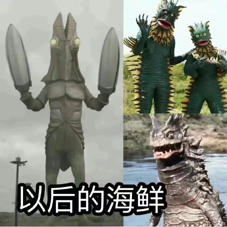 .jpg