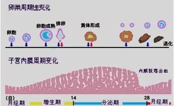 f9149b55-0925-429f-be2a-428e04d11509.jpg
