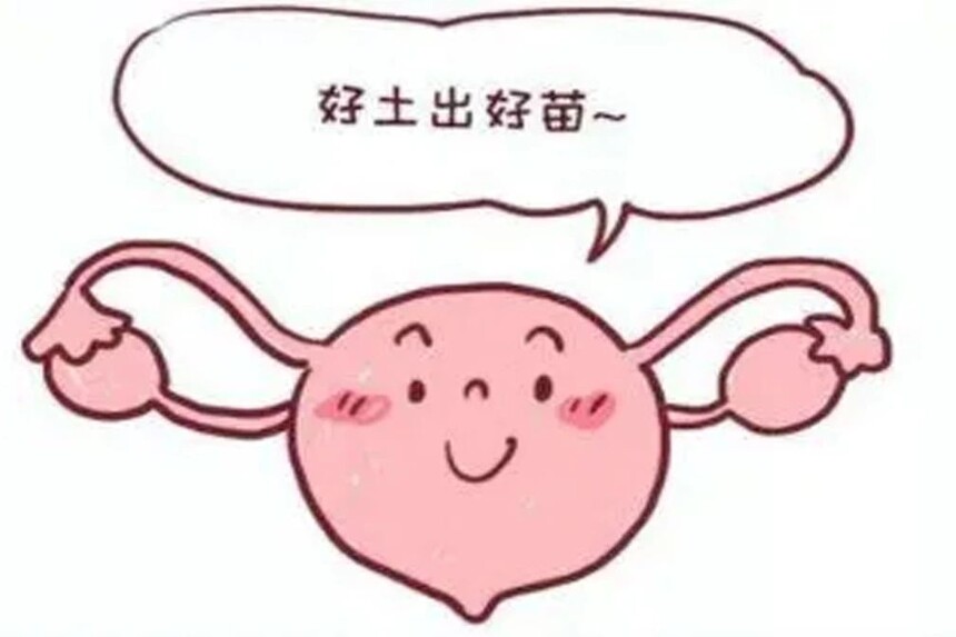 1743647414754942.jpg 微信图片_20241107110843.jpg