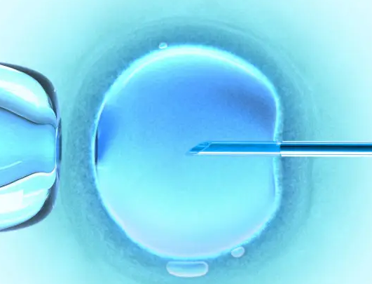 myzx470013808745668002.png