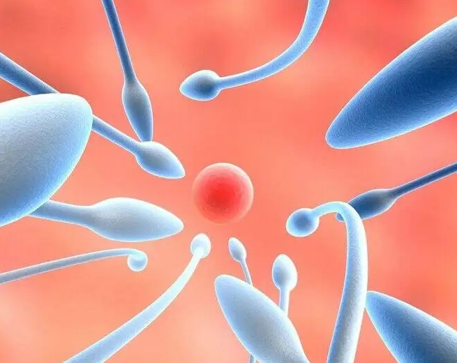 myzx680012525275617002.png