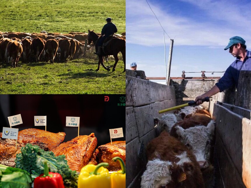 1770862480413972.jpg 1c0e9070a29e6672dae2bac86aa41c39.jpg