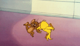 6.gif