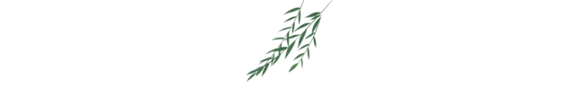 1725239304647815.gif 2.gif