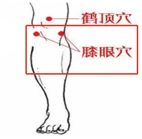 1731051998162314.jpg