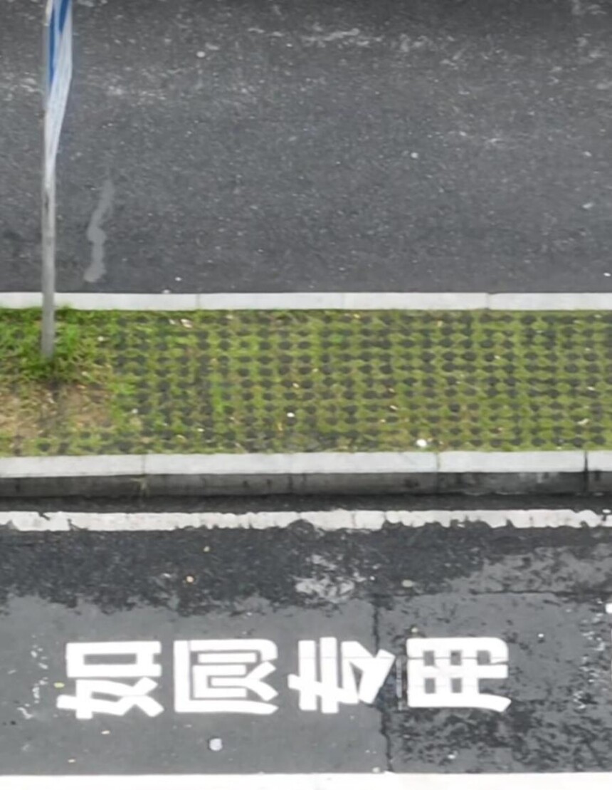 1778314996276145.jpg