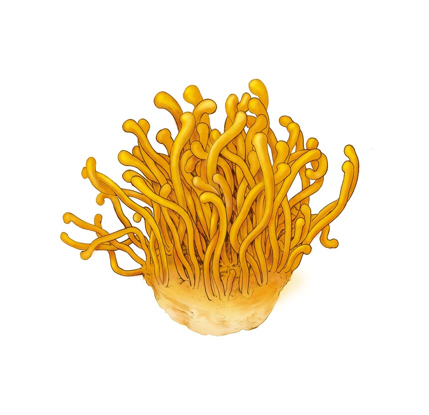 1689824371436708.jpg 1689824371436708.jpg