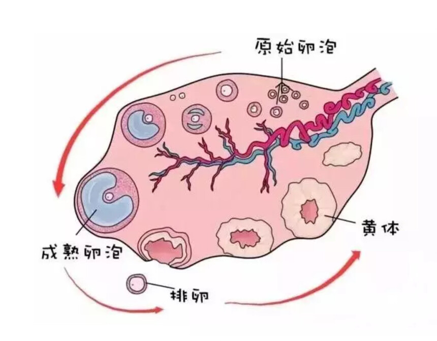 1692490078839879.jpg