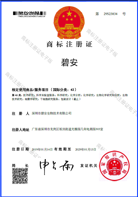 c996dd8a-6d35-4e5e-993b-880f94bdca40.png