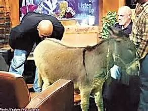 1716349342544510.png image.png