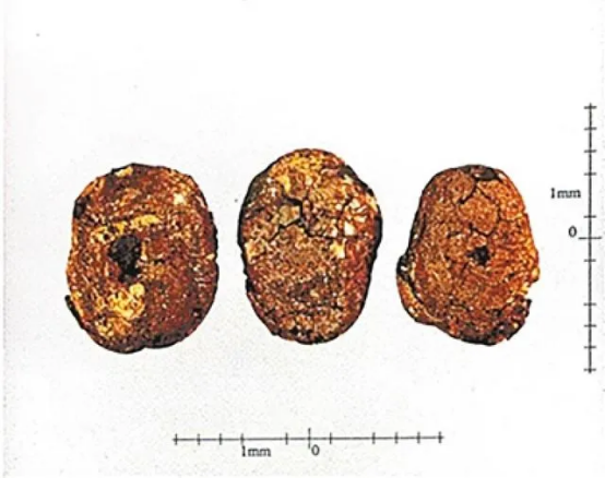 1762503888268404.png image.png