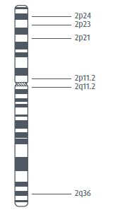 1779949967614206.png 2.png