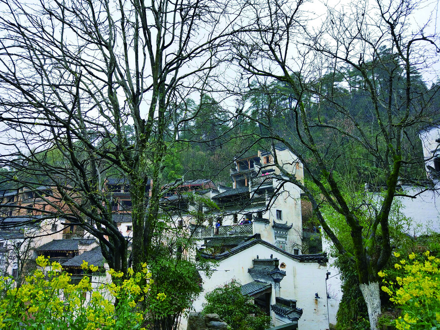 千年卢村：江南最美隐居地