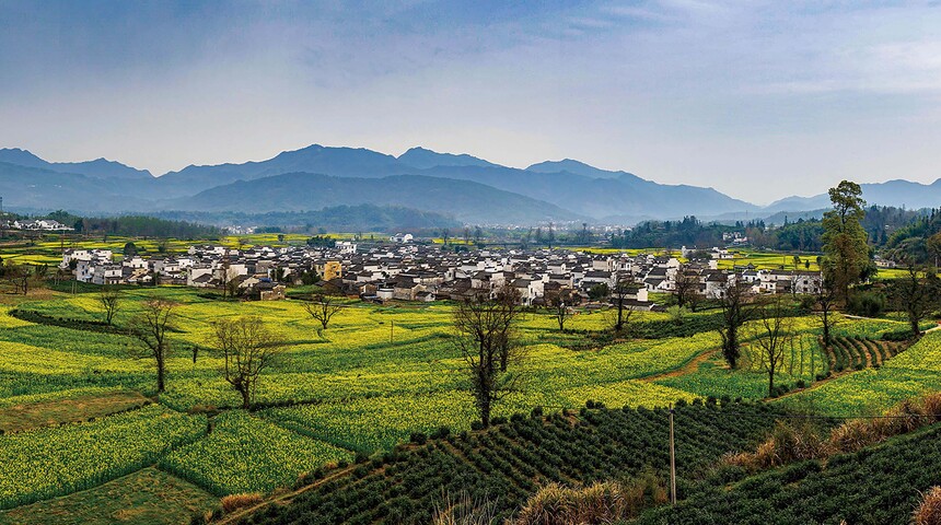 田园风光.jpg