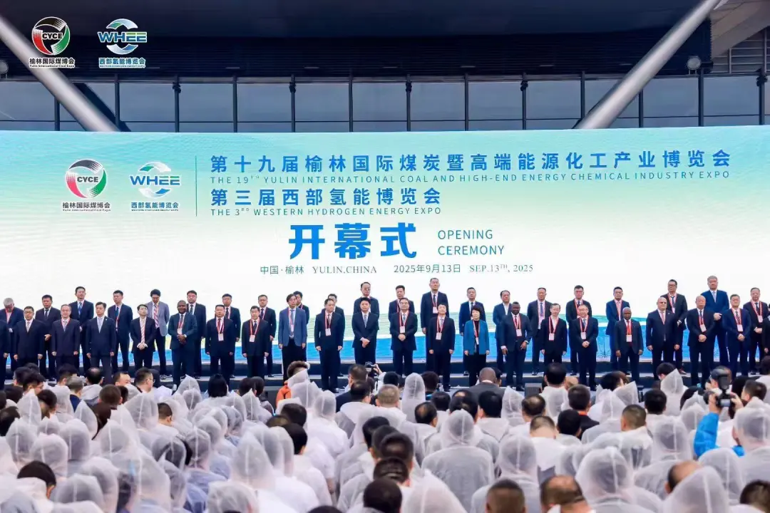 1766019866101749.jpg 5.jpg