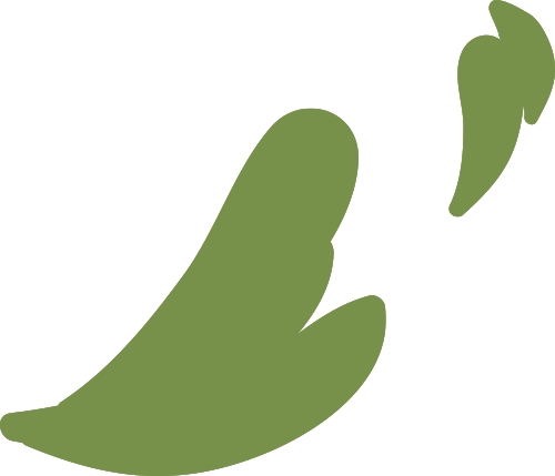 ΢ͼƬ_20240801114125.png