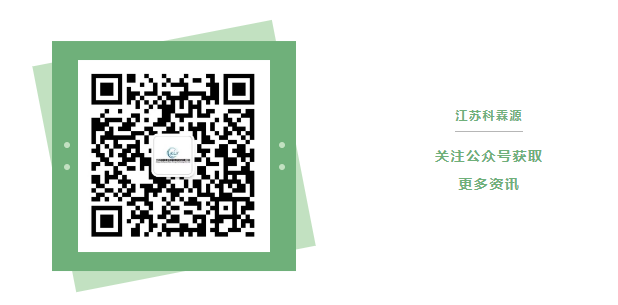 1735874867298.png