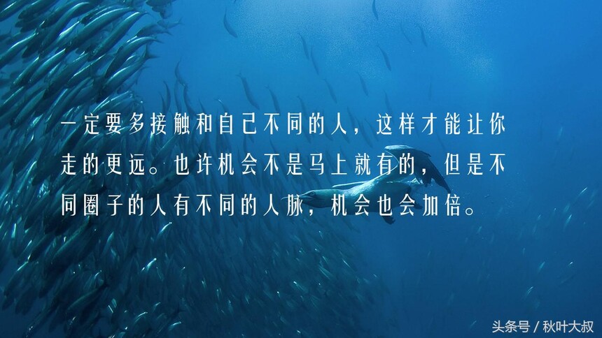 153788805871157d94b1cee~noop.jpg