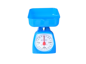 11019 彈簧度盤(pán)秤