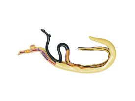 血吸蟲(chóng)模型