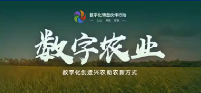 数字农业