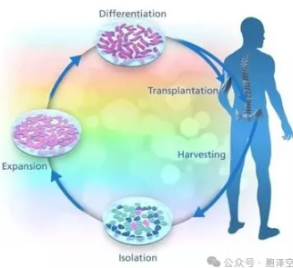 1761896036303289.png image.png