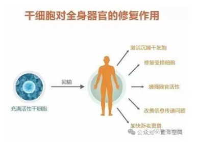 1761896061115081.png image.png