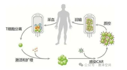 1761896080271587.png image.png