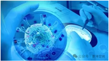 1761896101800941.png image.png