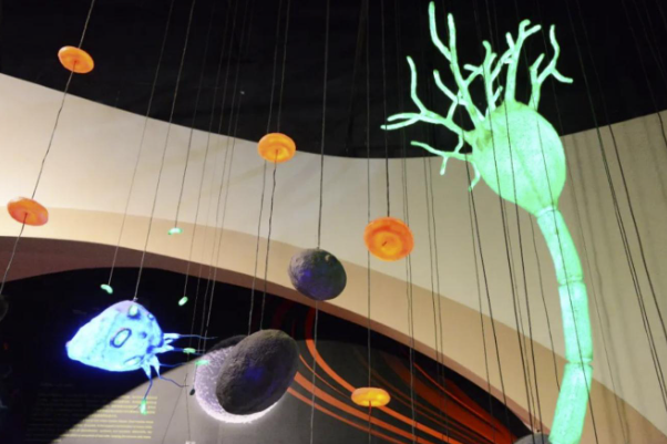 1761896396637335.png image.png